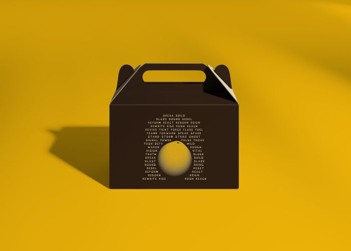 Mockup Packaging